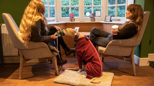 Visitors relaxing with their dog at Porter's Lodge Café at Ickworth, Suffolk